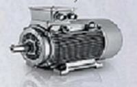 德國(guó)西門(mén)子電機(jī).1LG系列交流電動(dòng)機(jī)